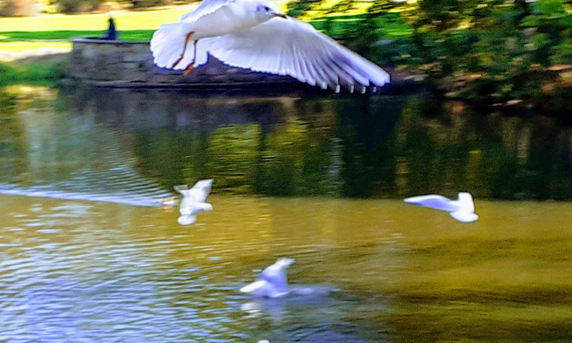 Willkommen auf Elbskipper.net!