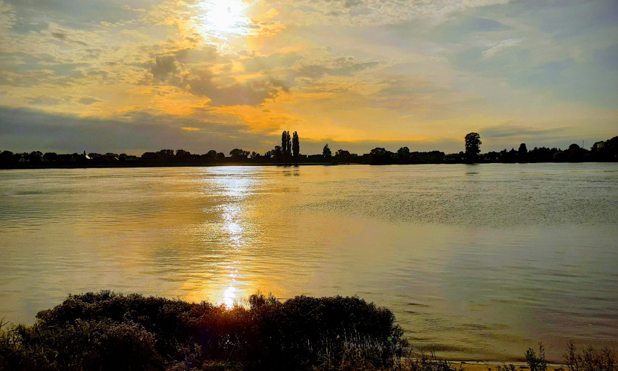 Willkommen auf Elbskipper.net!